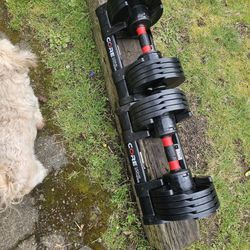 Dumbells Weights Adjustable 