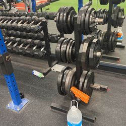 Weight Tree