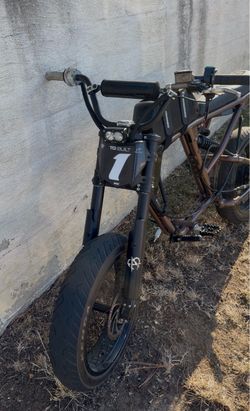 Ultra bee brake