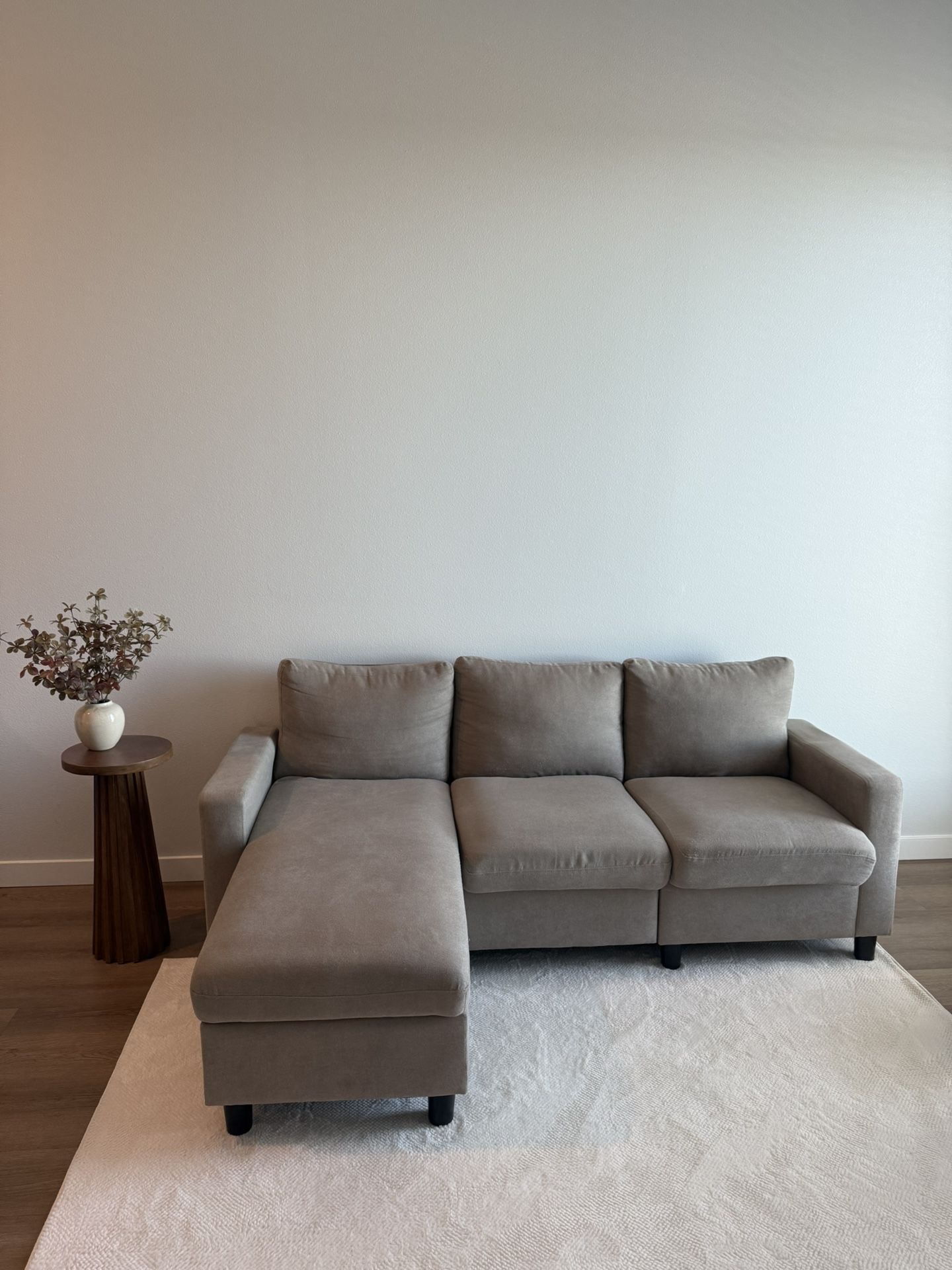 Living Room Couch