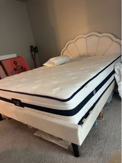 Scalloped Shell Bed Frame queen size with LED