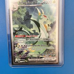 Pokemon Black Blot Serperior EX #164
