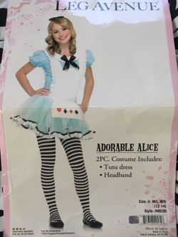 Adorable Alice Costume 