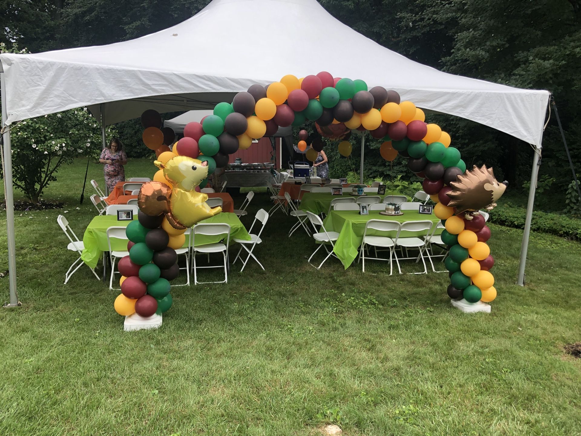 Balloon arch $100
