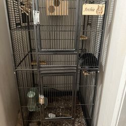 Chinchilla Cage With Chinchilla 