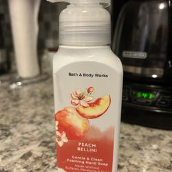 Bath & Body Works Hand Soap 