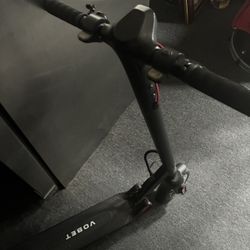 Electric Scooter 