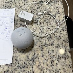 Amazon Alexa 