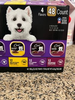 dog food