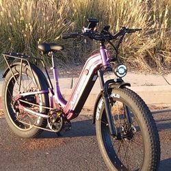 AIPAS EBIKE M1 PRO