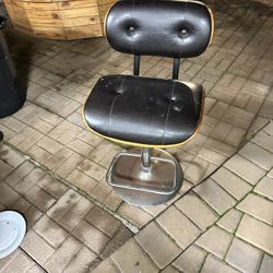 Pongo Ala Venta Está Silla De Piel