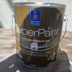 Exterior 1 Gal Paint