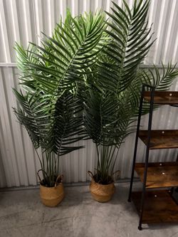 Set of 2 Decorative Artificial Plants – $15