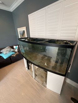 Fish tank 155gal