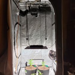 AC Infinity 3x3x6 Complete Grow System