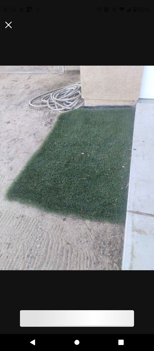 Artificial Grass Perfect For A Small Pet $15
