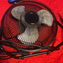Fan