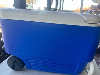 Igloo cooler