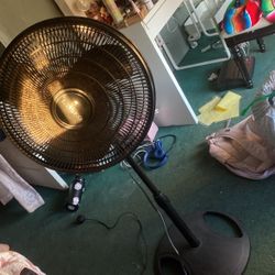 Fan 