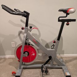 Sunny Stationary Bike