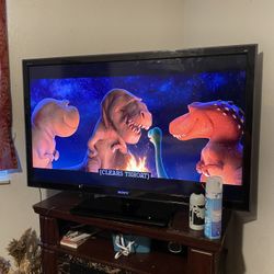 55 Inch