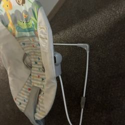 Baby Bouncer 