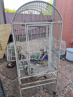 Bird Cage