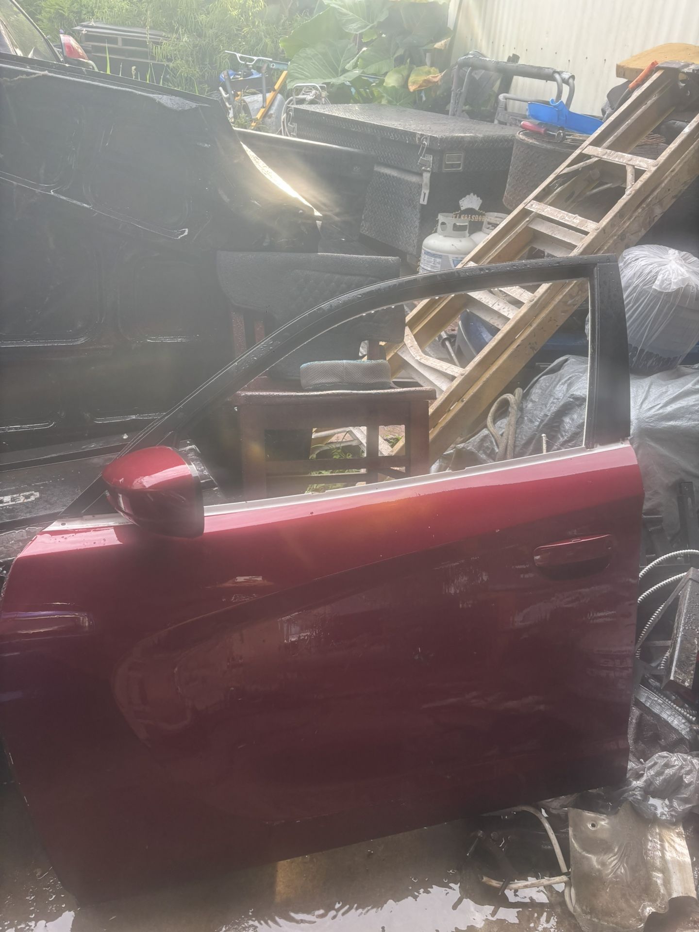 2015-2023 Dodge Charger Left Driver Door 