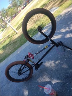 Bmx united