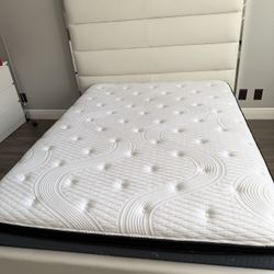 Elegant Queen Size Modern White Bed With Matress 