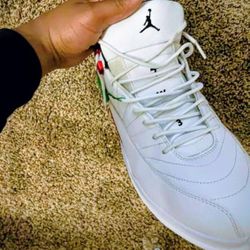 Jordan 12s Twist 