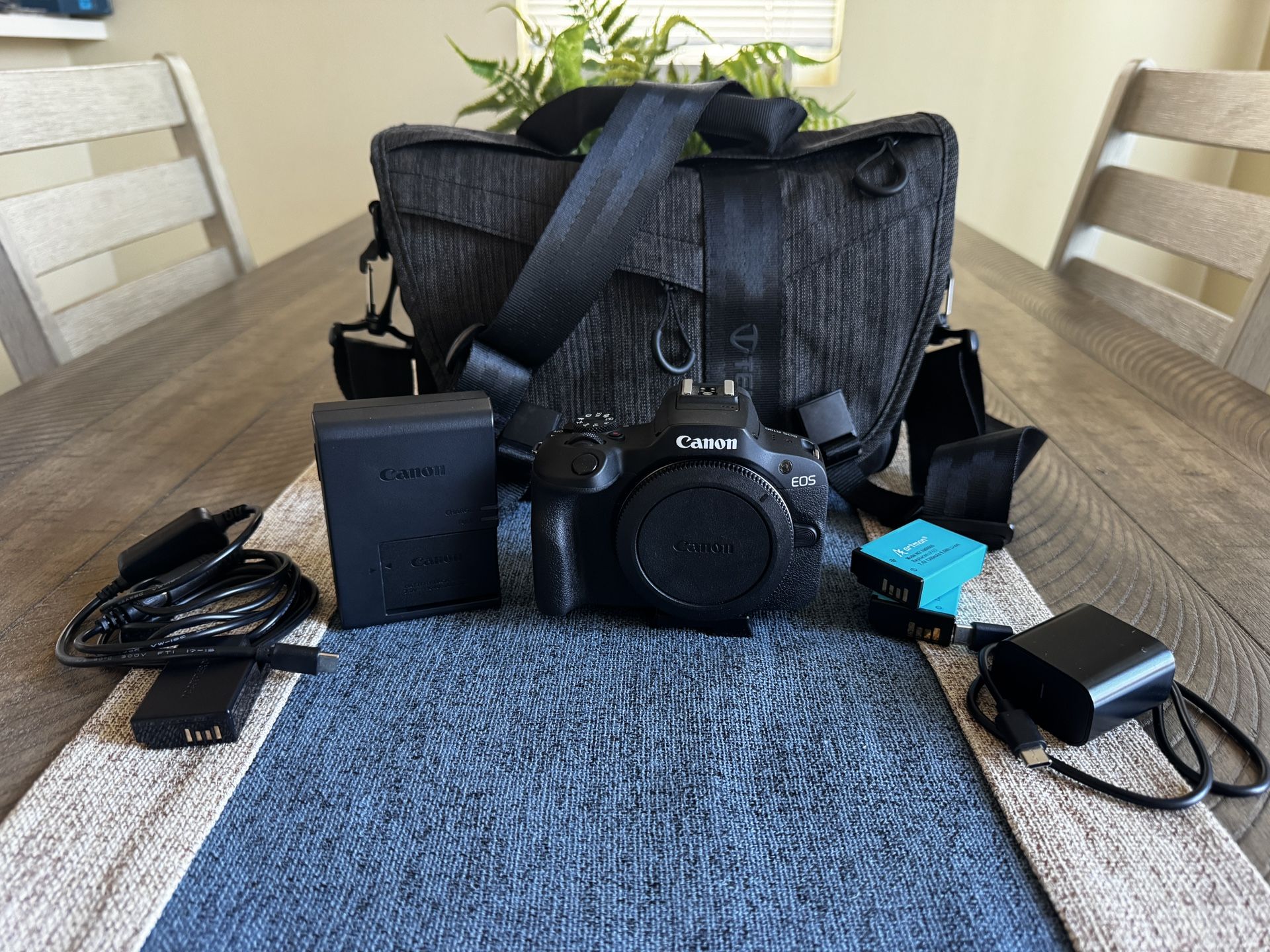 Canon R100