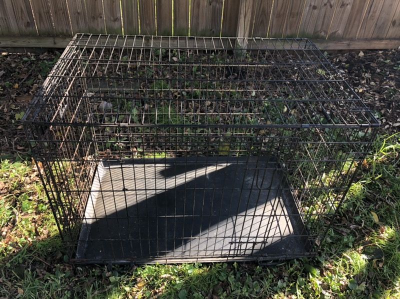 Large dog crate