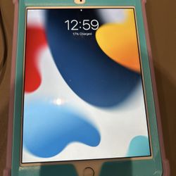 iPad Mini 