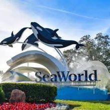 SeaWorld **** Sesame Place Water Park ****