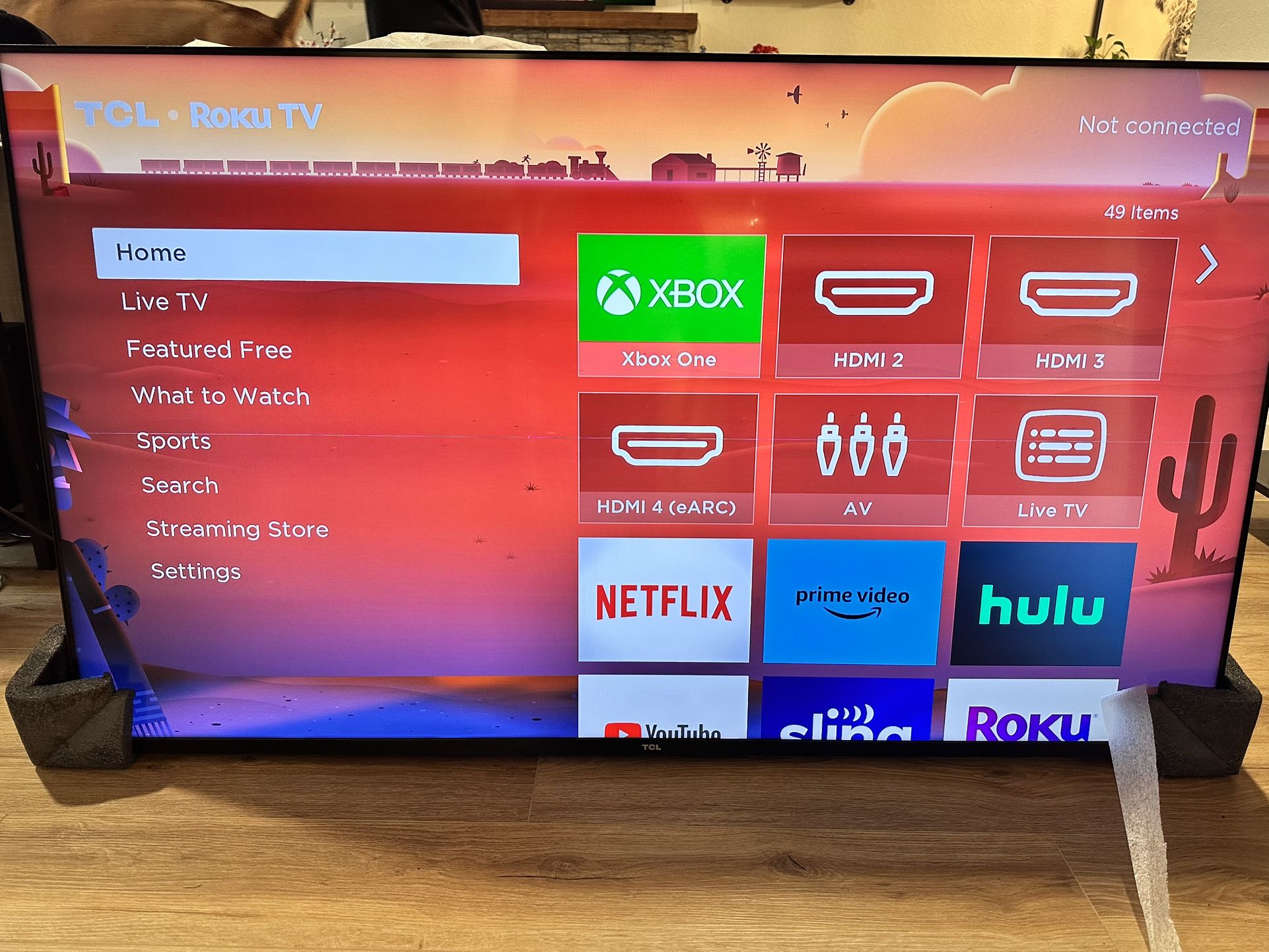 65” TLC TV and Mount