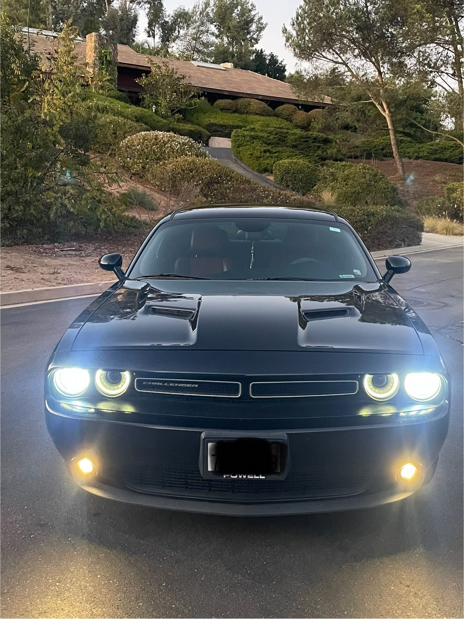 2016 Dodge Challenger