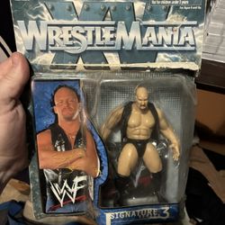 Wrestle Mania Action Figure 