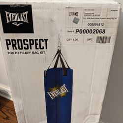 Everlast Prospect "Youth" Punching Bag Heavy Bag With Gloves Sealed