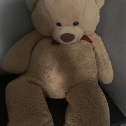 Teddy Bear ( Valentines Gift )