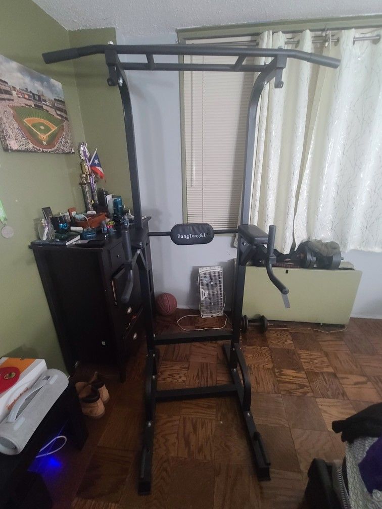 Pull Up Bar Dip Bar