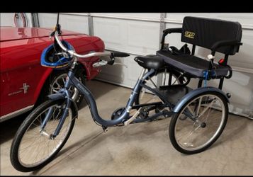 Schwinn Adult Tricycle with Custom Bench for Kids