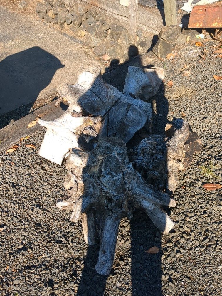 Decorative Driftwood?