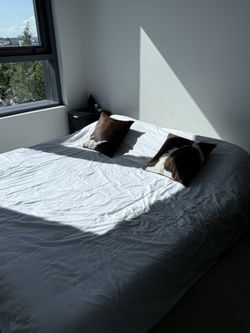 Small Cowhide Throw Pillows