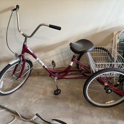 Pedal & Spoke Tri Bike