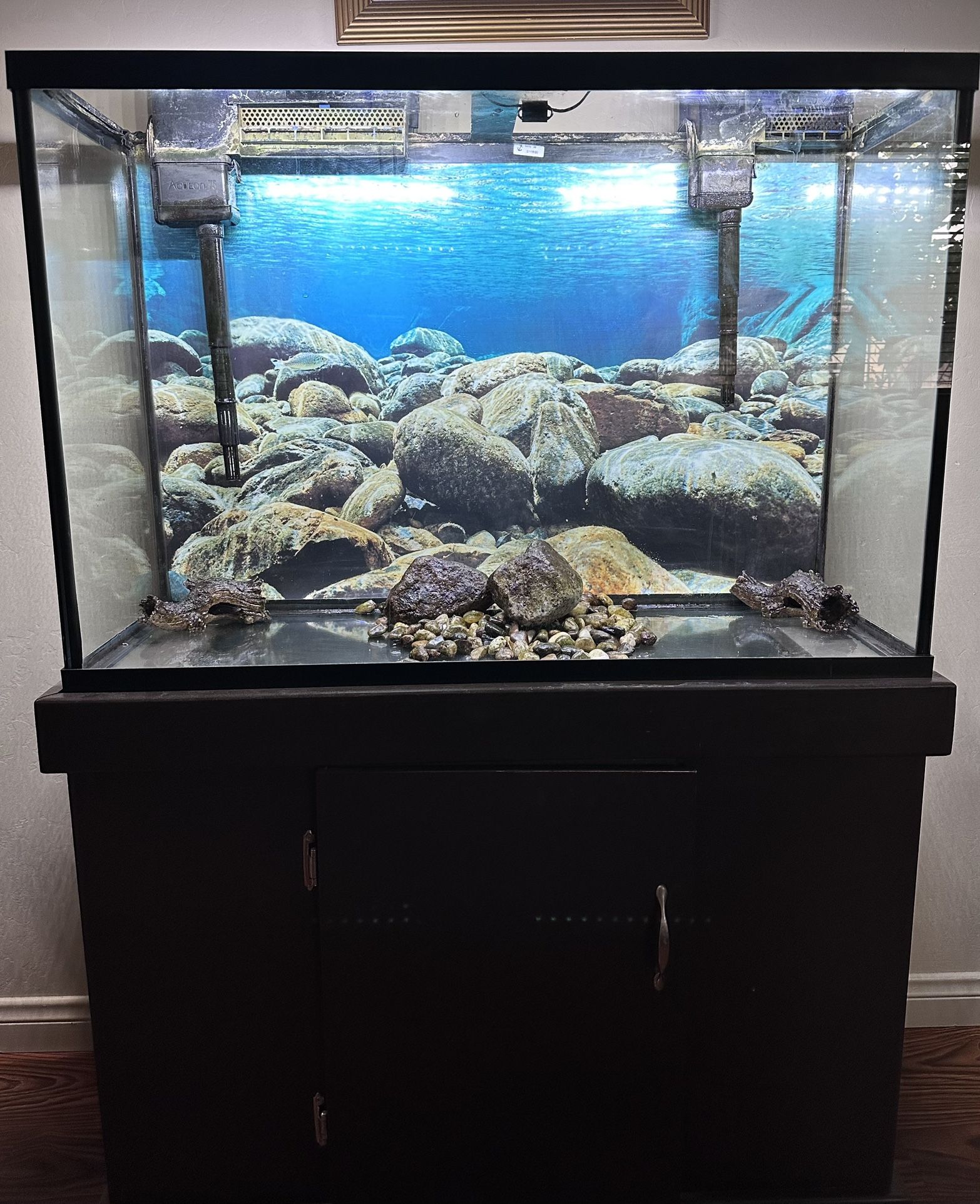Aquarium + Equipment