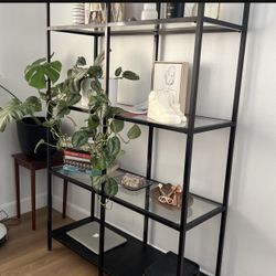 Shelf Cabinet Glass Metal Tier $45