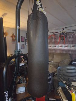 Everlast heavy bag with stand