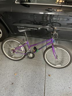 Trek And Schwinn Bikes