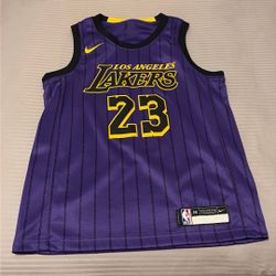Kids Lebron Lakers Jersey 